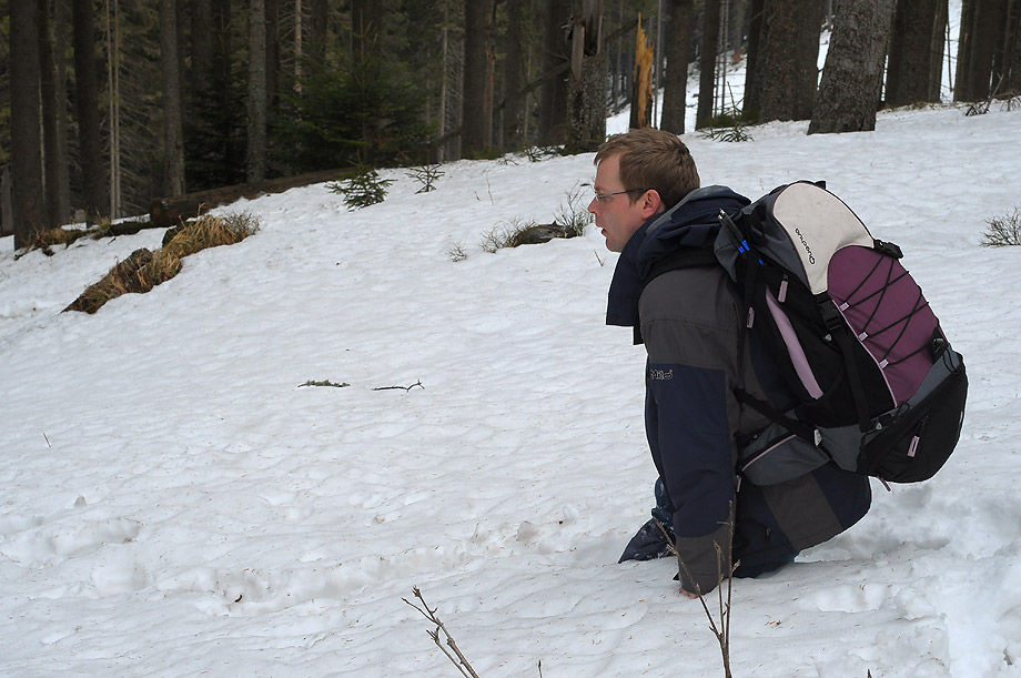 snieg po kolana... (Beskid Żywiecki)